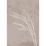Frön Poster Beige, 21 x 30 cm