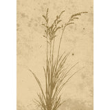 Växtkonst Poster Beige, 21 x 30 cm