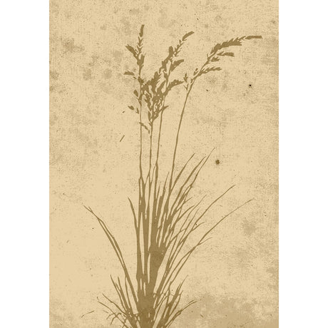 Växtkonst Poster Beige, 21 x 30 cm