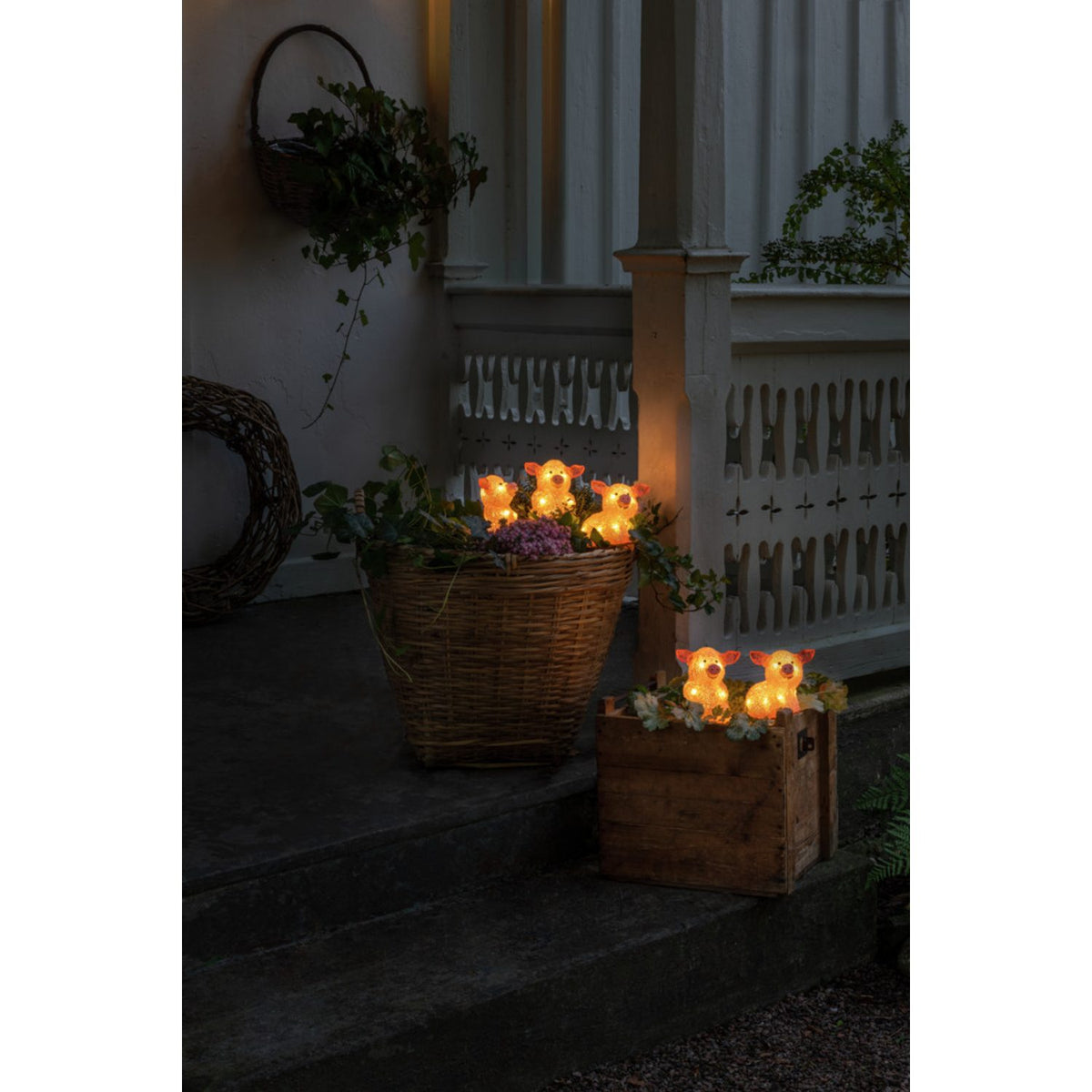 Grisar akryl 5st LED Ljusdekoration Ute Rosa
