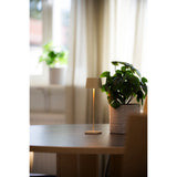 Capri mini bordslampa USB Bordslampa Ute/Inne Gräddvit