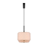 Vivienne Dual Taklampa
