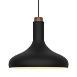 Fuji Taklampa Svart