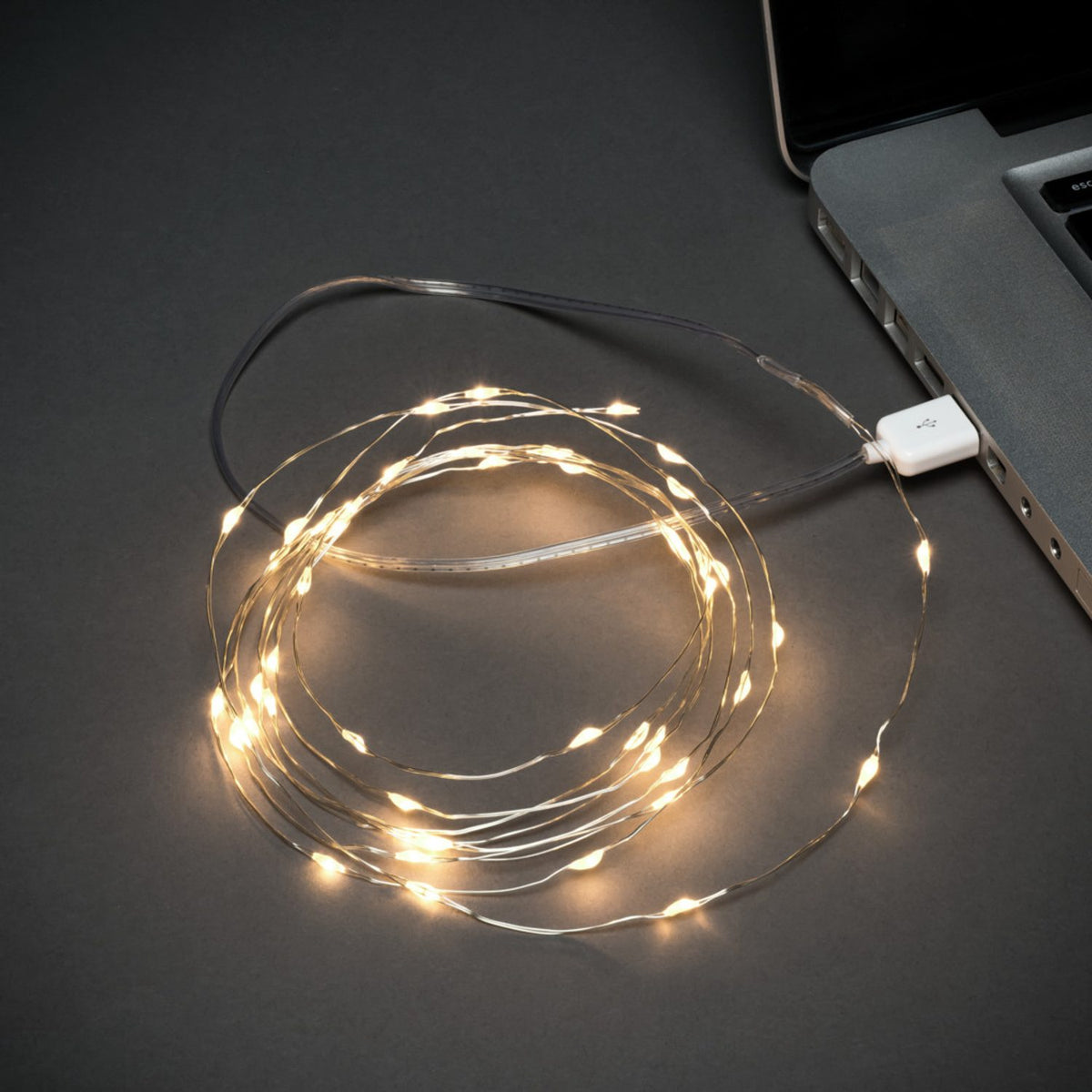 Micro LED USB Silversladd Ljusslinga Inomhus 100 Lampor (4.95m), Varmvit