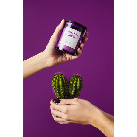 Cheerful Doftljus Fig & Cactus, 8,5x7cm
