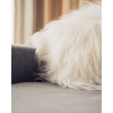 Iceland 40 cm Lammskinnskudde Shorn Grey