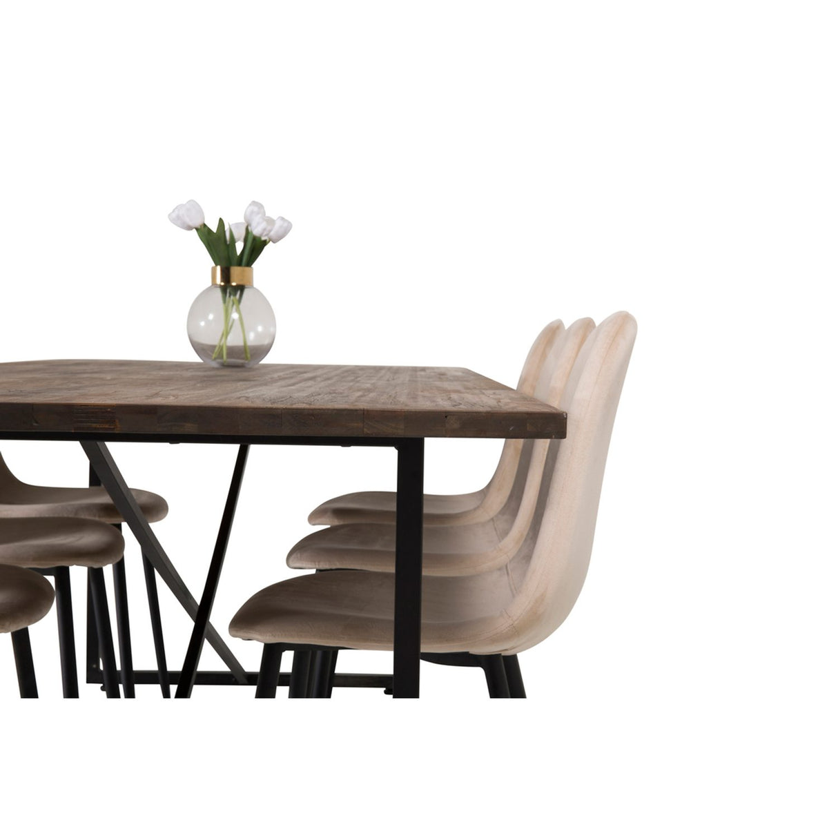 Padang,Polar Rektangulär matgrupp Beige,svart, Svart,Natur, 250 x 100