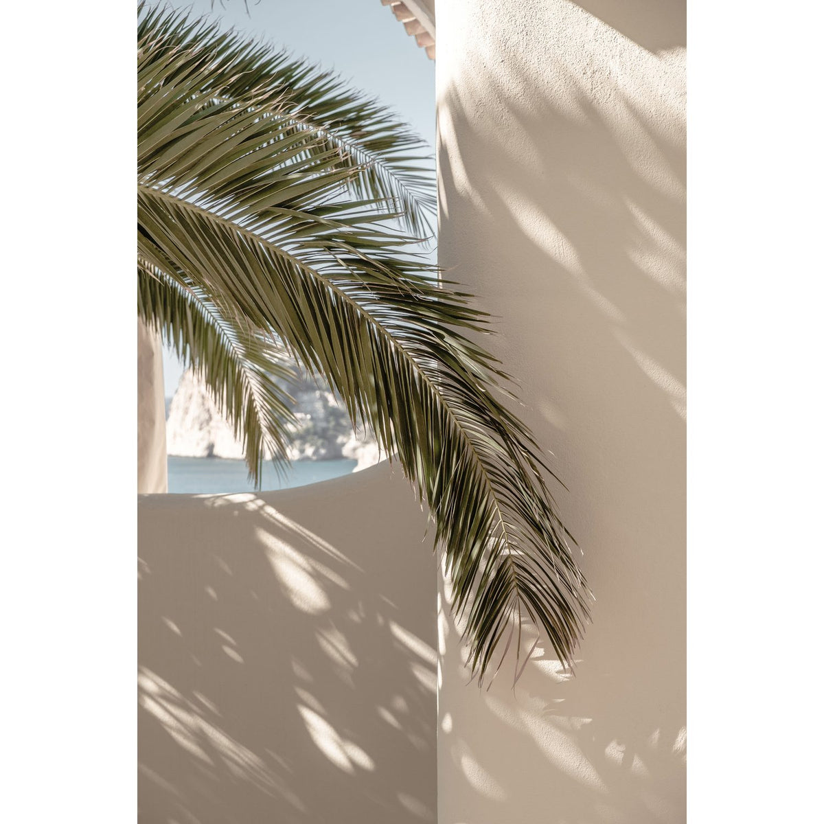 Palmblad Poster 30 x 21
