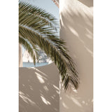 Palmblad Poster Beige, 100 x 70