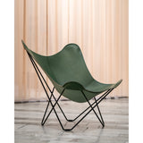 Pampa Mariposa Fåtölj Krom, Grass Green