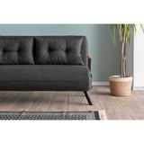 Apia 2-sits (25 x 134 x 121 cm) 2-sits bäddsoffa Mörkgrå