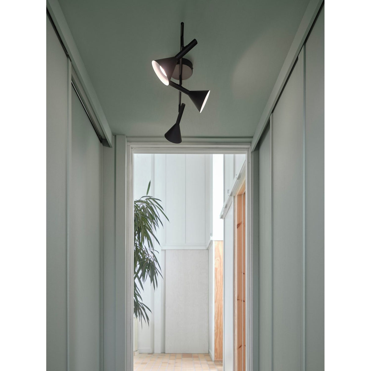 Kelvis Svart Plafond