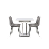 Disa, Eva Rektangulär matgrupp Silver, Grå,Vit, 120 x 80