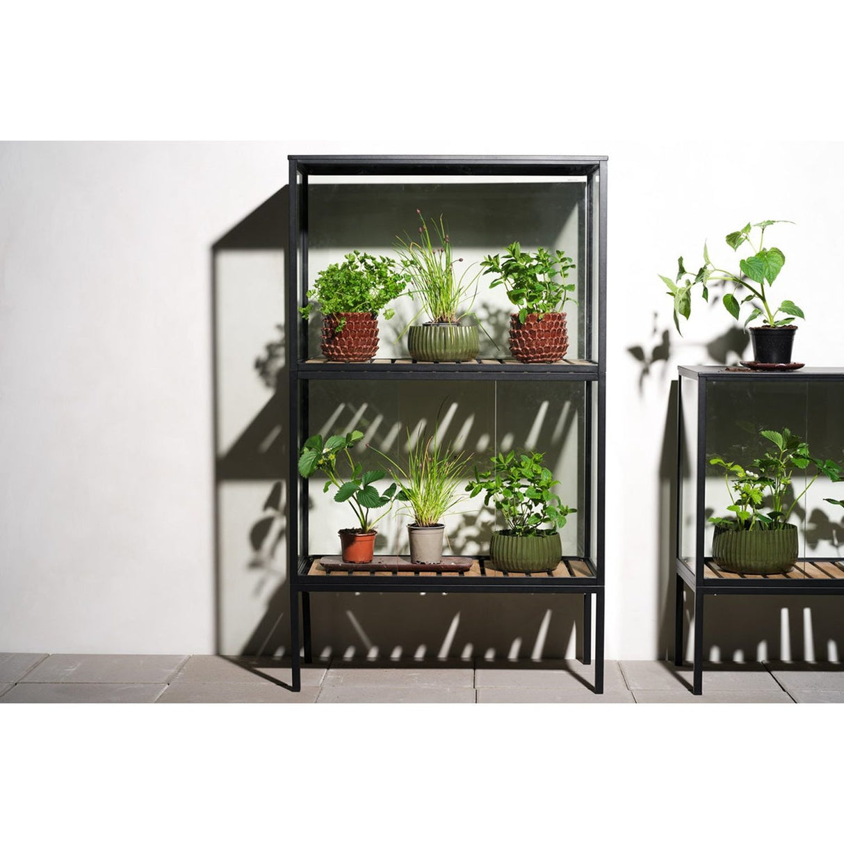 Grower Greens Växtskåp Svart 81x41x137 cm
