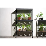 Grower Greens Växtskåp Svart 81x41x137 cm