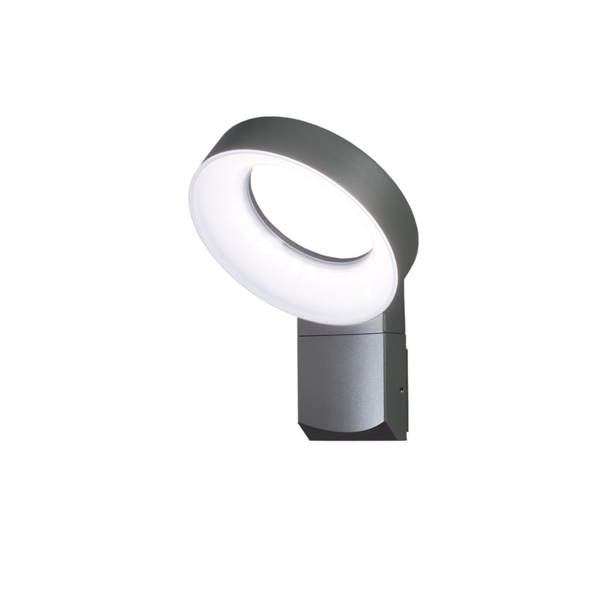 Asti HP-LED Mörkgrå Vägglampa Ute