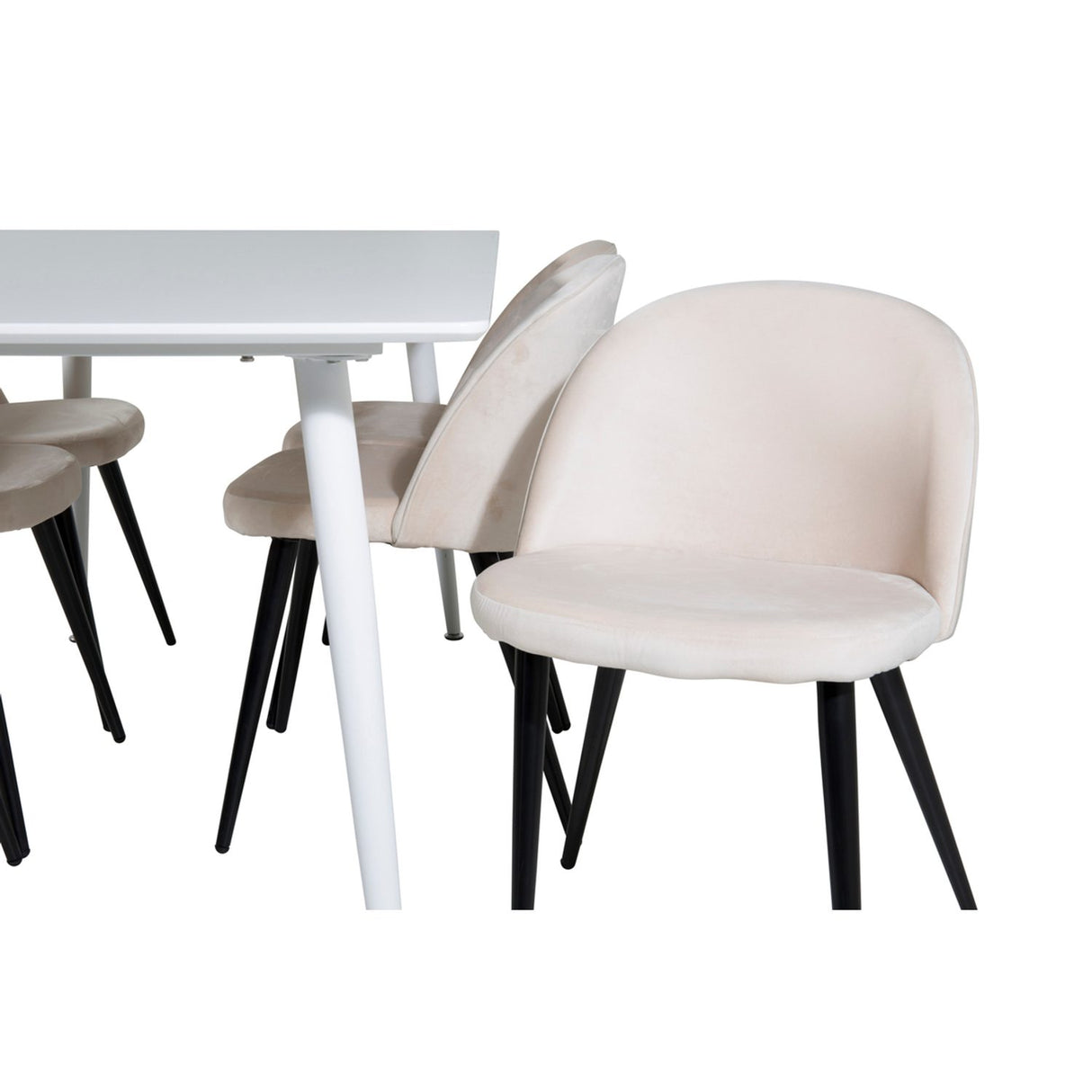 Polar, Velvet Rektangulär matgrupp Beige,Svart, Vit, 180 x 90