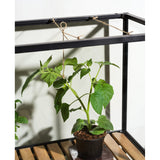 Grower Greens Växtskåp Svart 81x41x137 cm