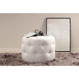 Benjamin Puff Vit, Polyester teddy