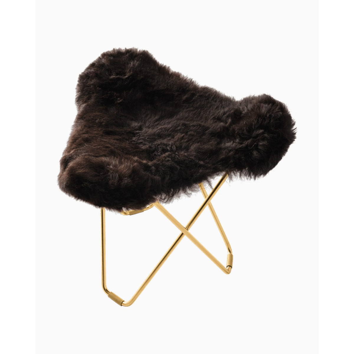 Iceland Flying Goose Fotpall Guld, Shorn Black