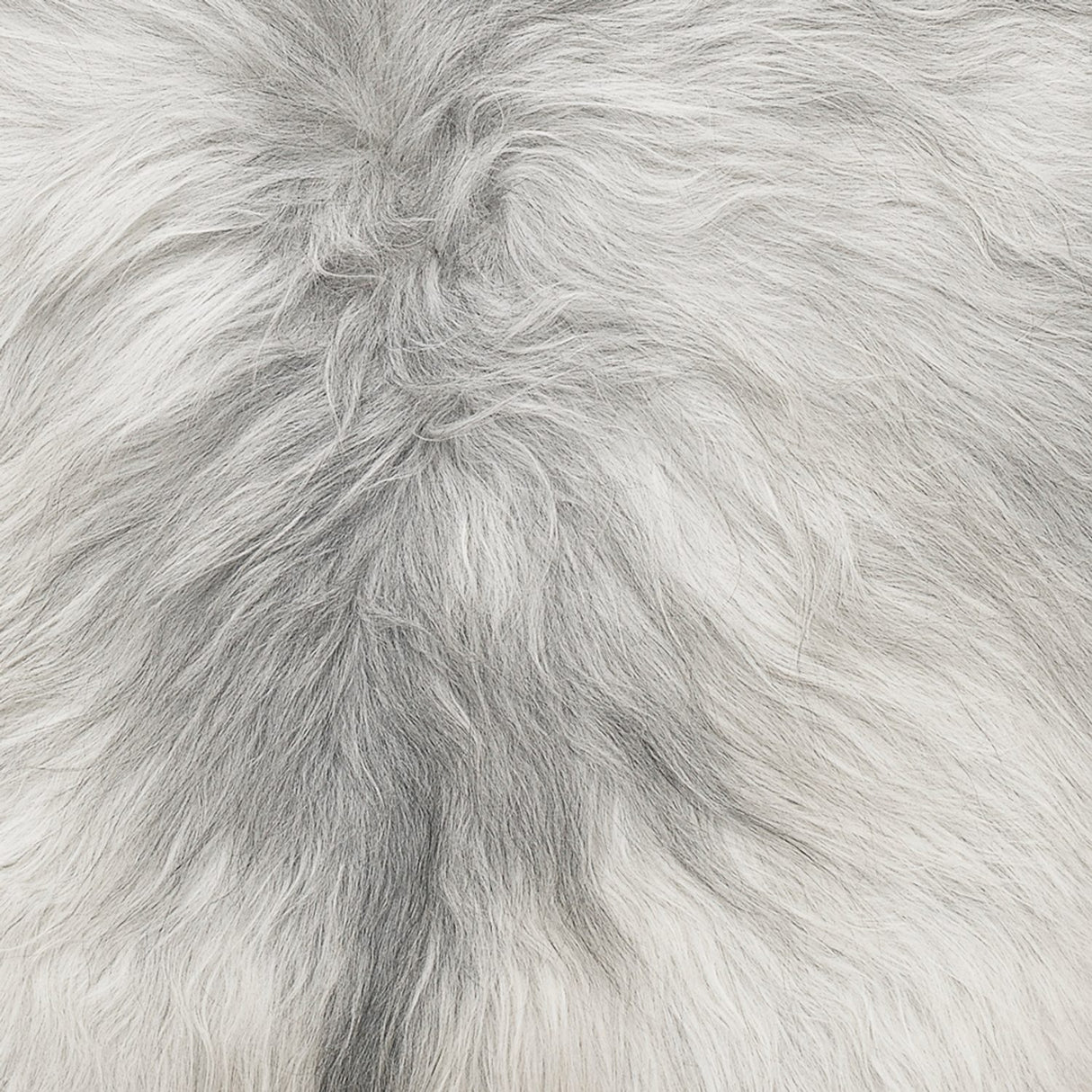 Molly 60x90 cm Fäll Natural Grey