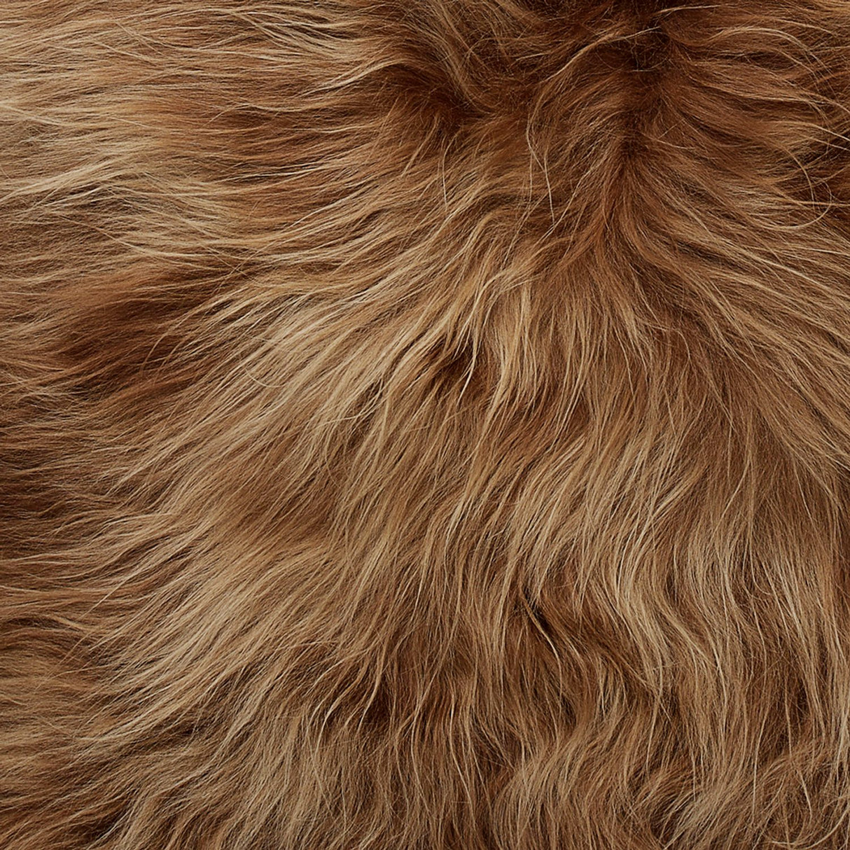 Molly 60x90 cm Fäll Brown