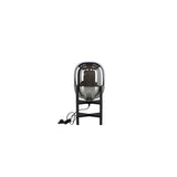 Altair Bordslampa Svart, 45