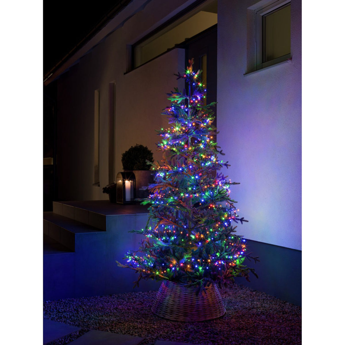 Cluster Frostad LED Svart kabel 30V/IP44 Ljusslinga Ute 32.98m, Färgad