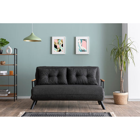 Apia 2-sits (25 x 134 x 121 cm) 2-sits bäddsoffa Mörkgrå