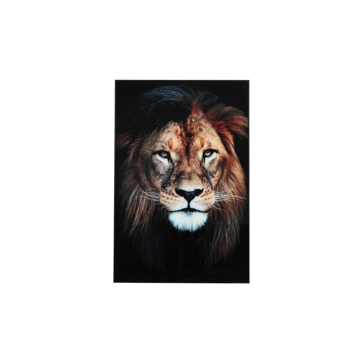 Bilde Lion 60x90 cm Glas Tavla