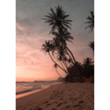 Sommar Poster Rosa, 50 x 70 cm