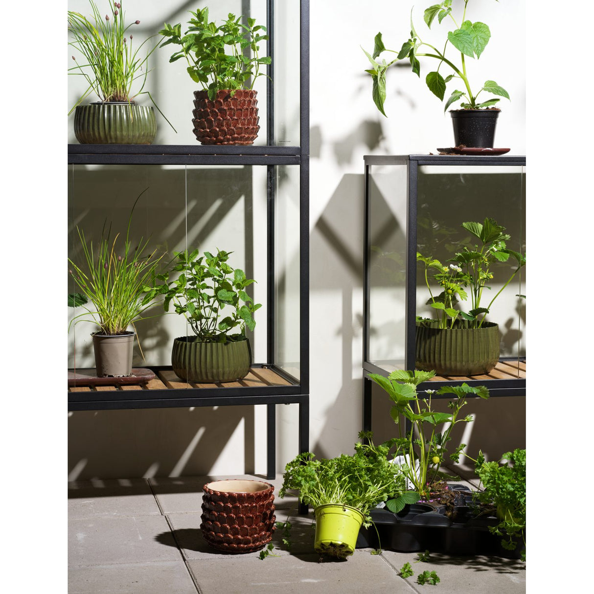 Grower Greens Växtskåp Svart 81x41x82 cm