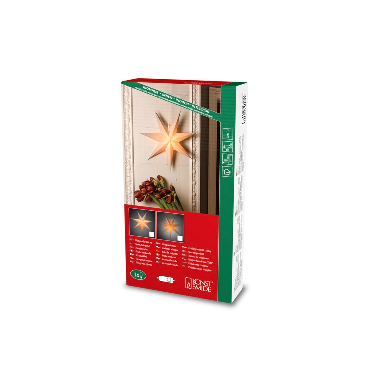Hängande Papper 60 cm med Sladdställ Vit Julstjärna Inne