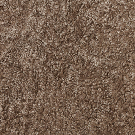 Curly R Fäll Sahara