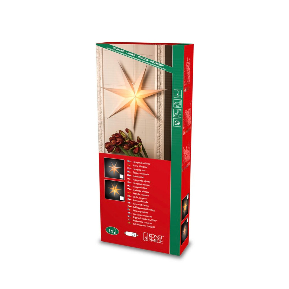 Hängande Papper 78 cm med Sladdställ Julstjärna Inne Vit
