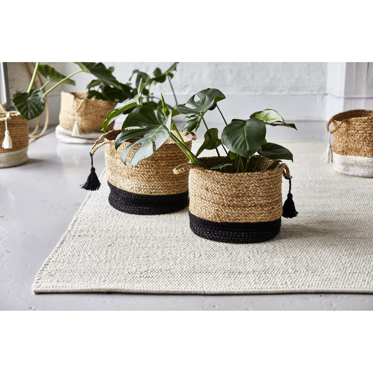 Merino Matta Vit