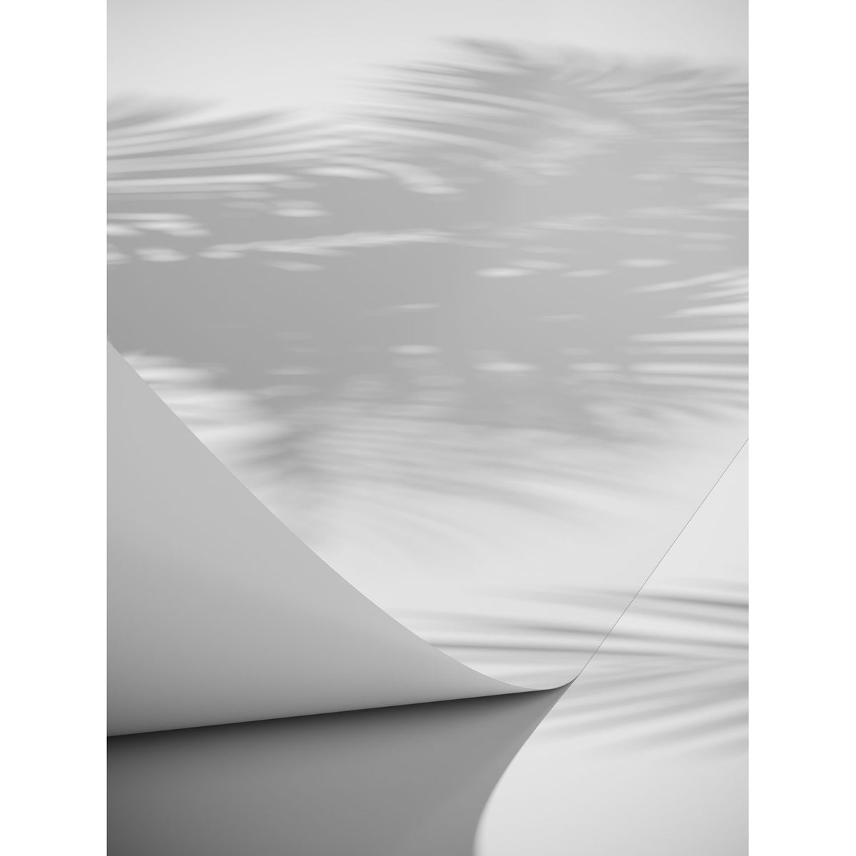 Papyrus Poster Vit, 21 x 30 cm