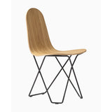 Cactus Natural Oak Stol