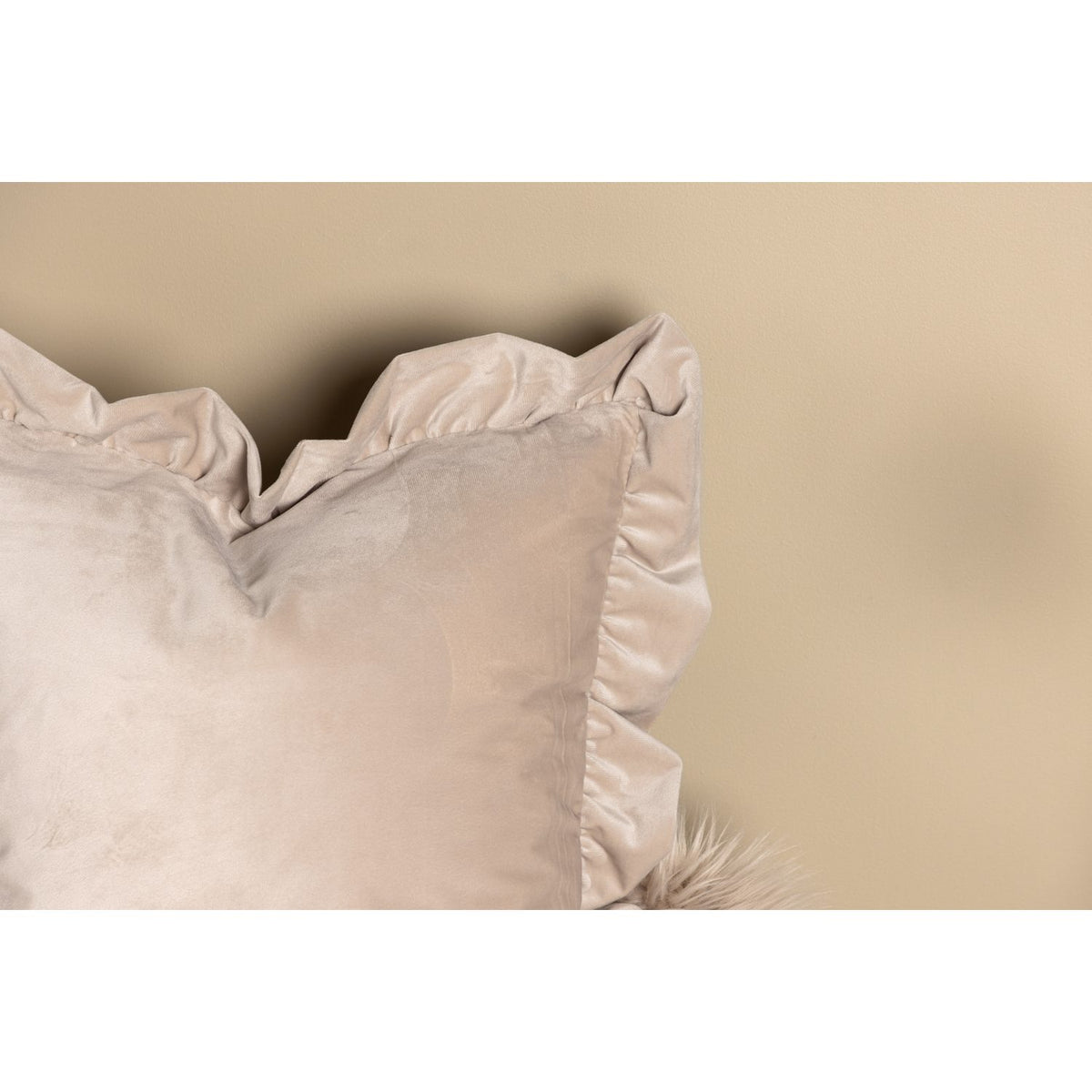 Hailey Kuddfodral Beige