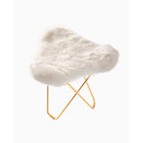 Iceland Flying Goose Fotpall Guld, Shorn White