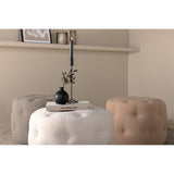 Benjamin Puff Vit, Polyester teddy