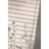 Blomskugga Poster Vit, 21 x 30 cm