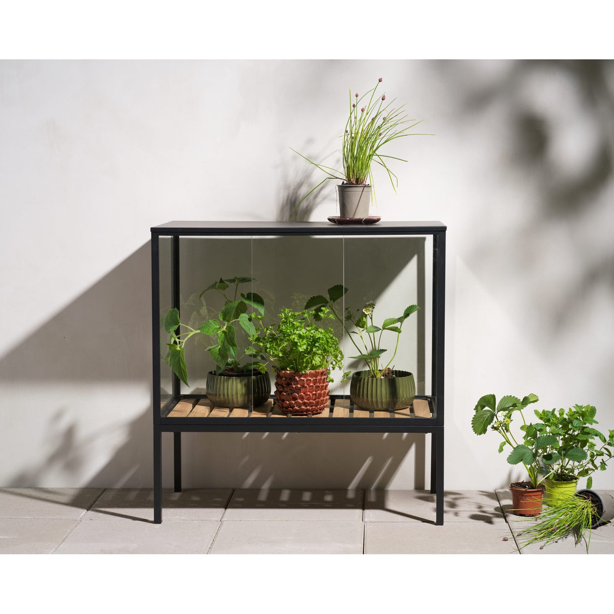 Grower Greens Växtskåp Svart 81x41x82 cm