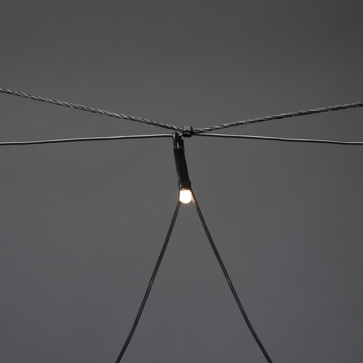 Nät LED Svart kabel 24V/IP44 Ljusslinga Ute 1x1m, Varmvit
