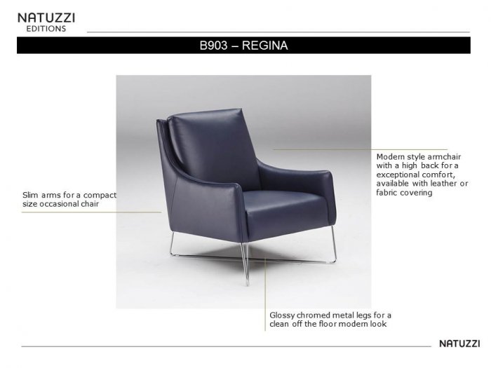 Regina B903 Fåtölj