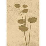 Blomkonst Poster Beige, 50 x 70 cm