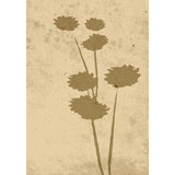 Blomkonst Poster Beige, 21 x 30 cm