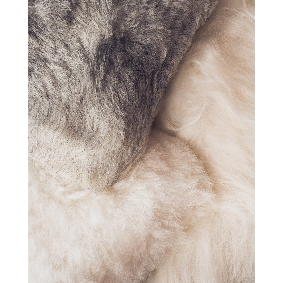 Iceland 40 cm Lammskinnskudde Shorn Black