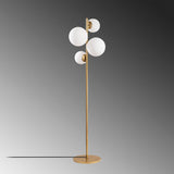 Tlemcen (33 x 162 cm) Guld Golvlampa