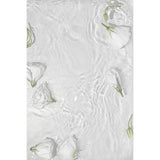 Vita rosor Poster Vit, 70 x 100 cm